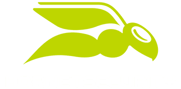 Hornet Security