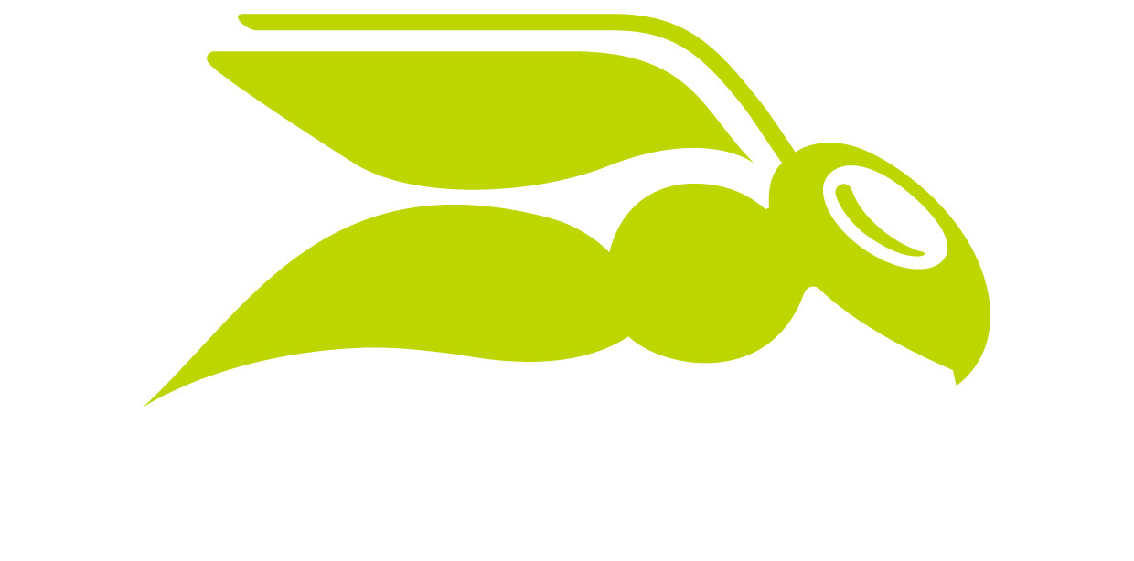Hornet Security